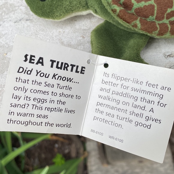 Wild and Wonderful Beanbag Green Ocean Sea Turtle Stuffed Animal Plush Toy 90s - Picture 6 of 8